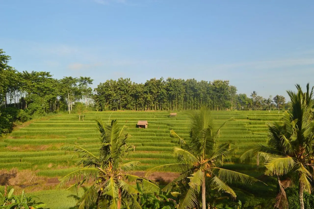 Serenity Private Villa Mas Ubud Ubud (Bali)