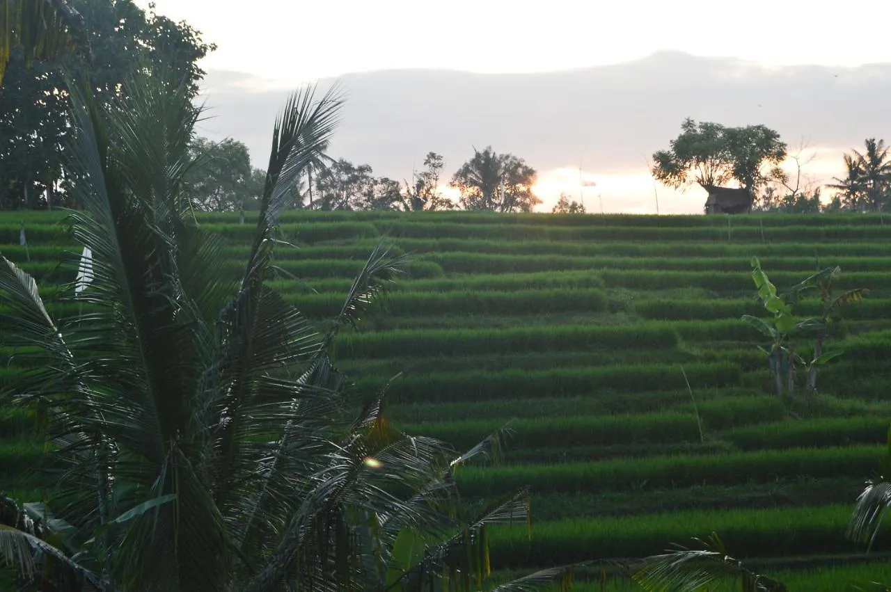 Homestay Serenity Private Villa Mas Ubud