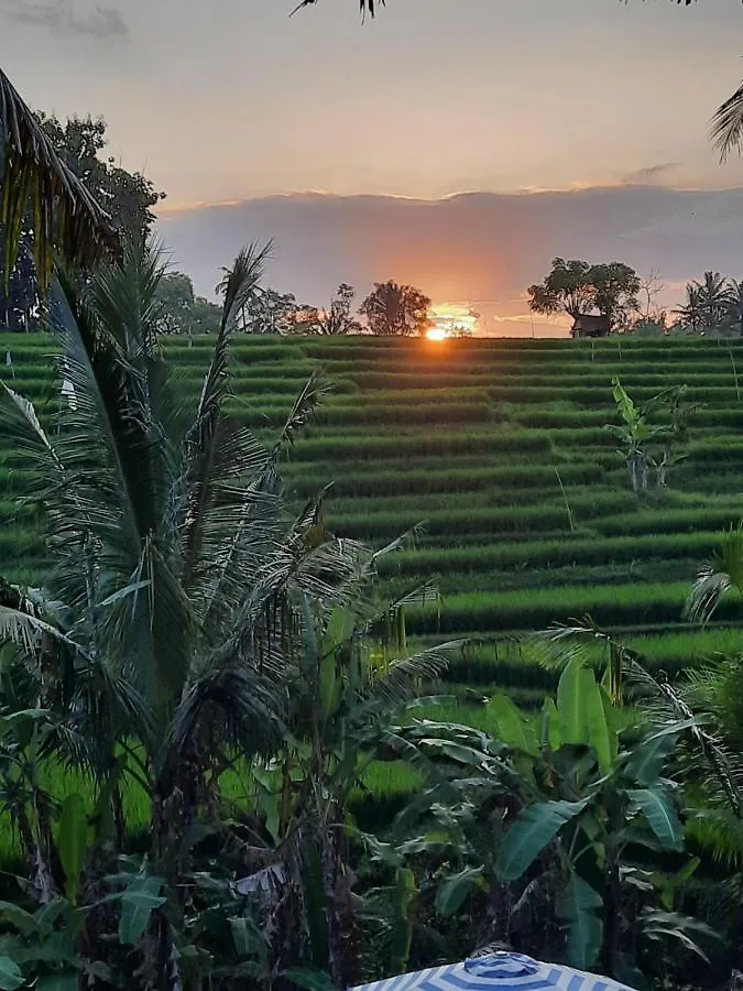 Serenity Private Villa Mas Ubud 0*,