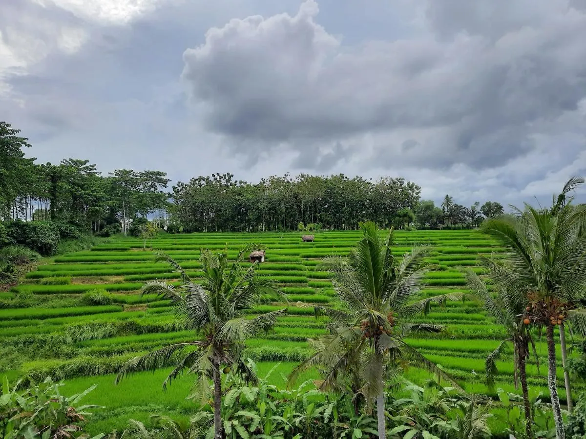 Serenity Private Villa Mas Ubud